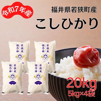ふるさと納税 若狭町 【令和7年産】福井県若狭町コシヒカリ(1等米)　20kg(5kg×4袋)