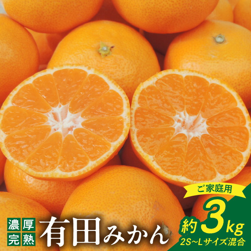 【ふるさと納税】【限定】【2025年先行予約】北真農園 有田みかん 家庭用 3kg 濃厚完熟 お試しサイズ （ご家庭用　2Sサイズ～Lサイズ混合）ORYY推奨