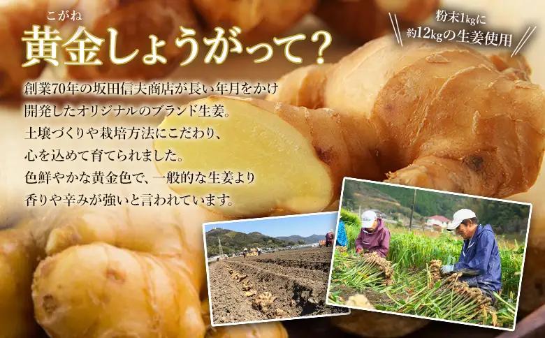 【生姜パウダー】黄金しょうが粉末 1kg 【7日程度で発送】 Xnb-0010