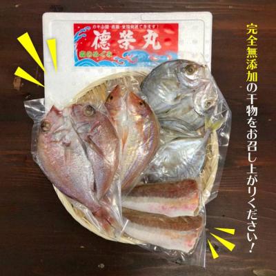 ふるさと納税 糸島市 干物 セット 4点(1匹 20cm 以上)マダイ 糸島市/徳栄丸[APD006] |  | 01