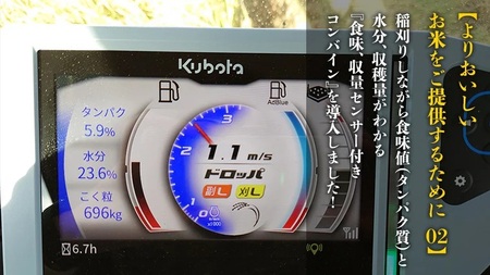 令和7年産 茨城県産 新米 にじのきらめき 10kg 玄米