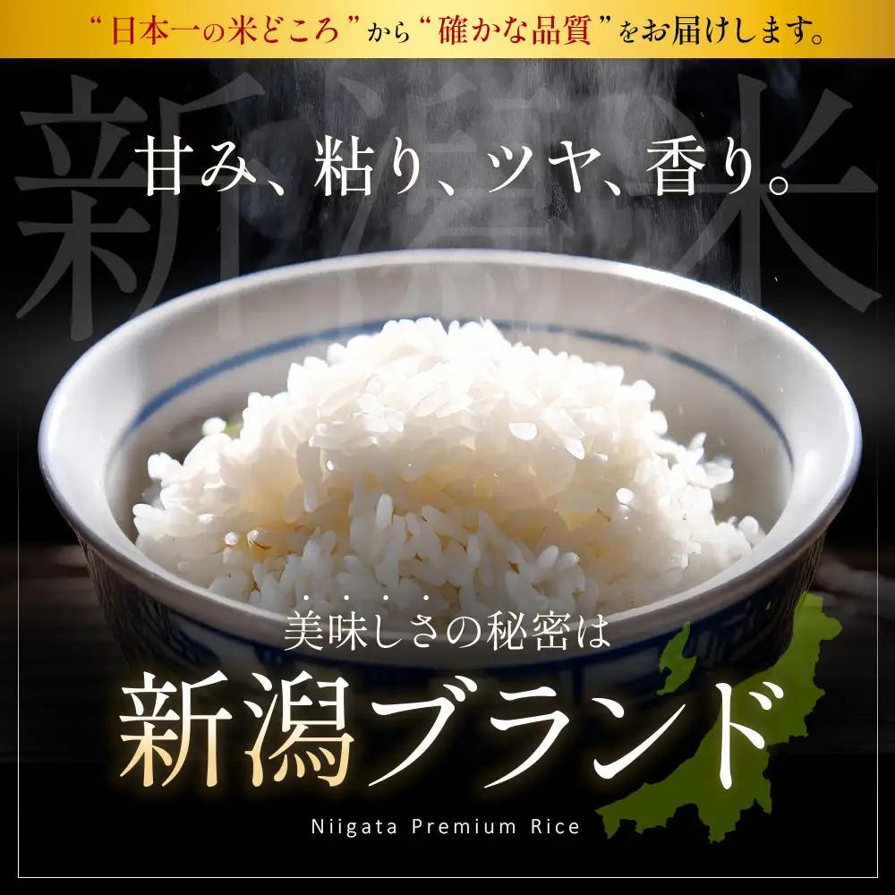 米 令和8年産【無洗米】新潟県産 コシヒカリ 2kg