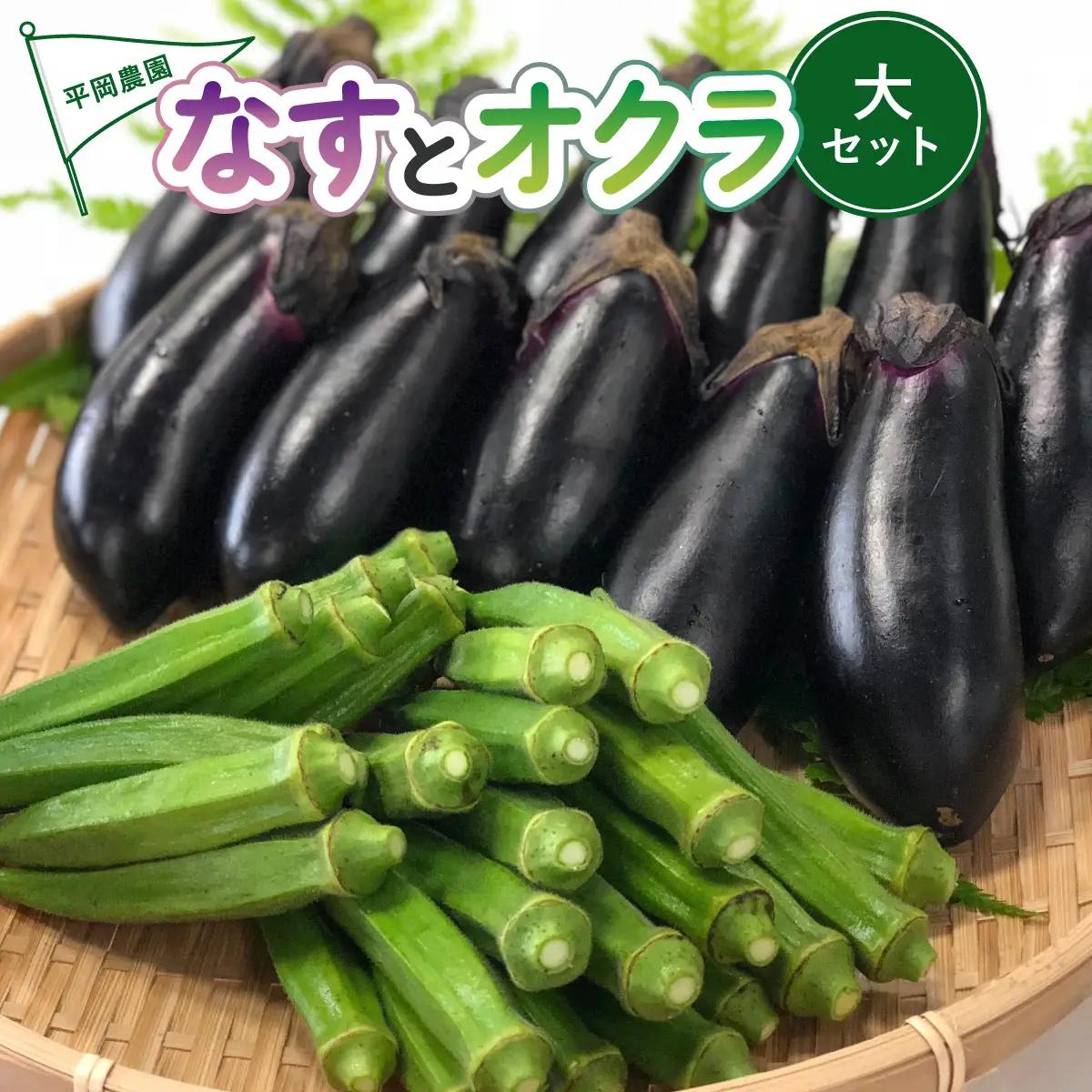 【先行予約】夏野菜 詰め合わせ 大セット なす おくら 野菜 茄子 ナス オクラ 産地直送 天敵栽培 【2027年7月以降順次発送】