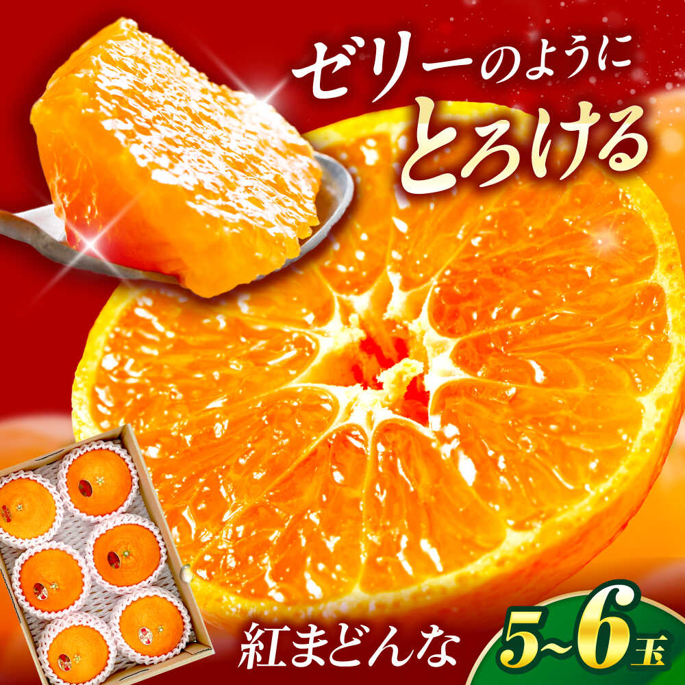 【ふるさと納税】紅まどんな 1箱(5-6個入り)【11月中旬から12月下旬まで順次発送】/ フルーツ 果物 蜜柑 ミカン オレンジ 小玉 甘い 先行予約 箱 愛媛 果汁 人気 おすすめ フルーツギフト さっぱり 旬 旬の果物 / 愛媛県砥部町/株式会社フジ・アグリフーズ[BJBI003]