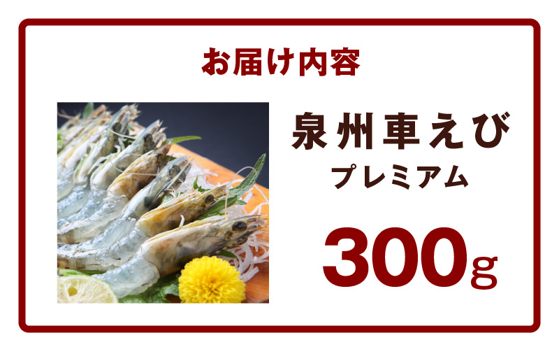 【生食可】泉州車えび 300g【先行予約】 	G2179