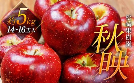 【松崎果樹園】「秋映」約5kg（14～16玉）【旬のフルーツ、果物、旬のりんご、新鮮リンゴ、秋映りんご】