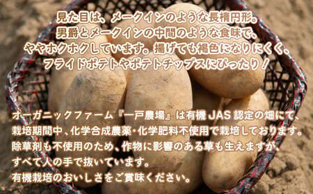 【先行予約】美幌町産・有機JAS 北海こがね 10kg（2025年9月上旬より順次発送） BHRG009