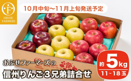  信州りんご3兄弟詰合せ 約5kg 11～18玉 ［おぶせファーマーズ］ りんご 林檎 リンゴ 果物 フルーツ  秋映 シナノスイート シナノゴールド 長野県産 令和8年産 【2026年10月中旬～11月上旬発送】 ［F-244］