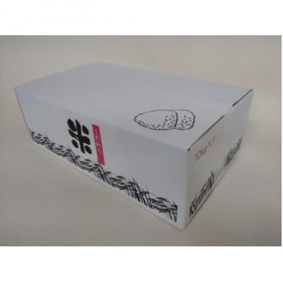 ふるさと納税 磐田市 【毎月定期便】静岡こしひかり(精米)10kg×1袋全3回 |  | 01