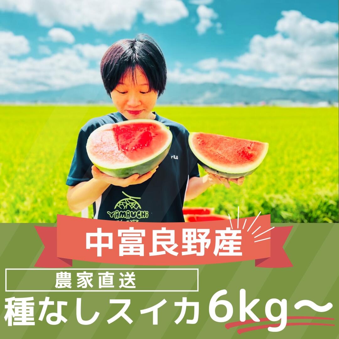 【ふるさと納税】【2026年発送】種なしスイカ　1玉　（6kg～）