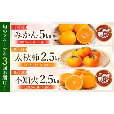 ふるさと納税 玉東町 【先行予約】全3回 旬のフルーツ定期便 みかん 柿 不知火 緑伸園《9月下旬-1月下旬頃出荷》 |  | 01