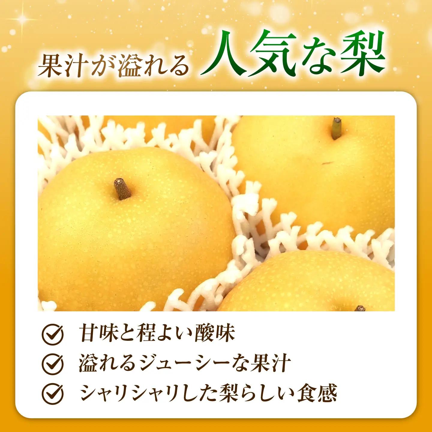 【先行予約】豊水梨 5-6玉入 BKAD110 梨