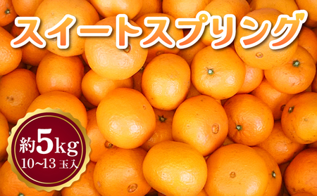 【先行予約】 スイートスプリング 約5kg 10～13玉 【吉田レモニー】【2026年2月上旬～2026年4月下旬発送】みかん 柑橘 宇城市産スイートスプリング 熊本県産スイートスプリング 国産スイートスプリング スイートスプリング５キロ