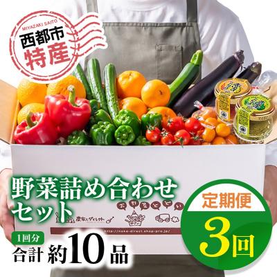 ふるさと納税 西都市 【先行受付・3回定期便】野菜・特産詰め合わせセット[2611]