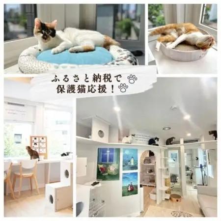 保護猫支援!応援ネームプレート NPO法人ちよだニャンとなる会 千代田区_雑貨   _【1544905】