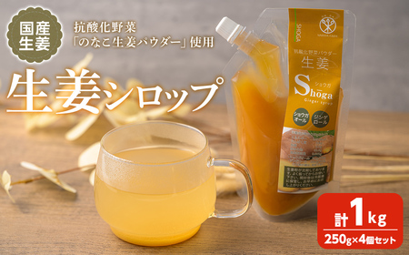 抗酸化野菜 生姜シロップ 計1kg (250g×4個) ジンシャーシロップ ジンジャー ジンジャーエール しょうがシロップ しょうが 生姜 国産生姜 炭酸割り 【株式会社NARIDAヘルスサポート】tm339