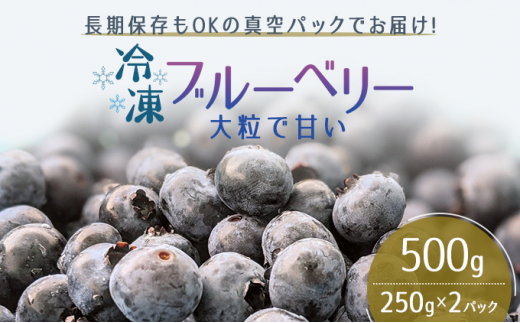 
【男鹿ぶるーべりーガーデン】 冷凍ブルーベリー 250g×2パック（合計500g） 秋田県 男鹿市
