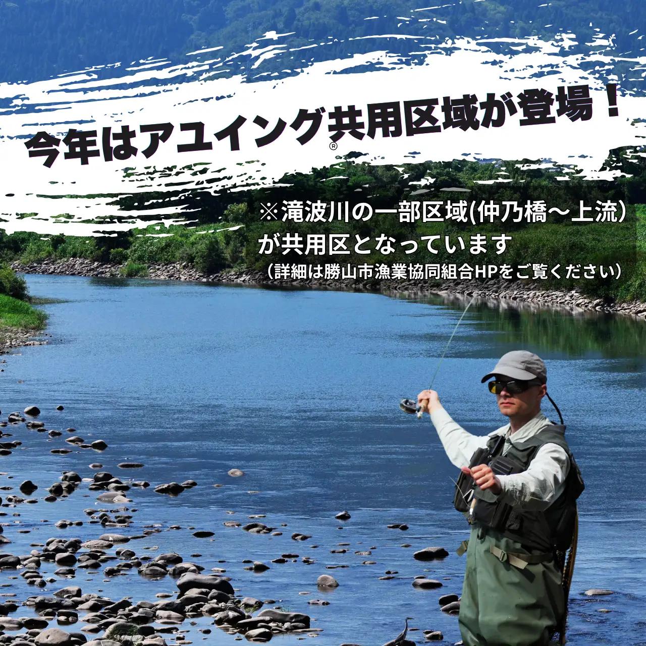 鮎友釣り年券 九頭竜川（勝山市漁協）2026年 1名様分 [D-001004]