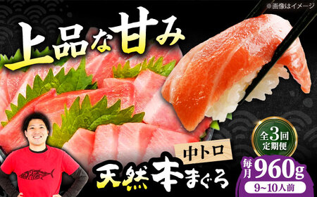 【全3回定期便】たね熟天然本まぐろ中トロ(960g)[AOCE037]マグロ