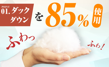 【訳あり】筑後七国羽毛ふとん セミダブル 羽毛0.4kg 無地アイボリー 広川町 / ヒラモリ株式会社[AFAO031]