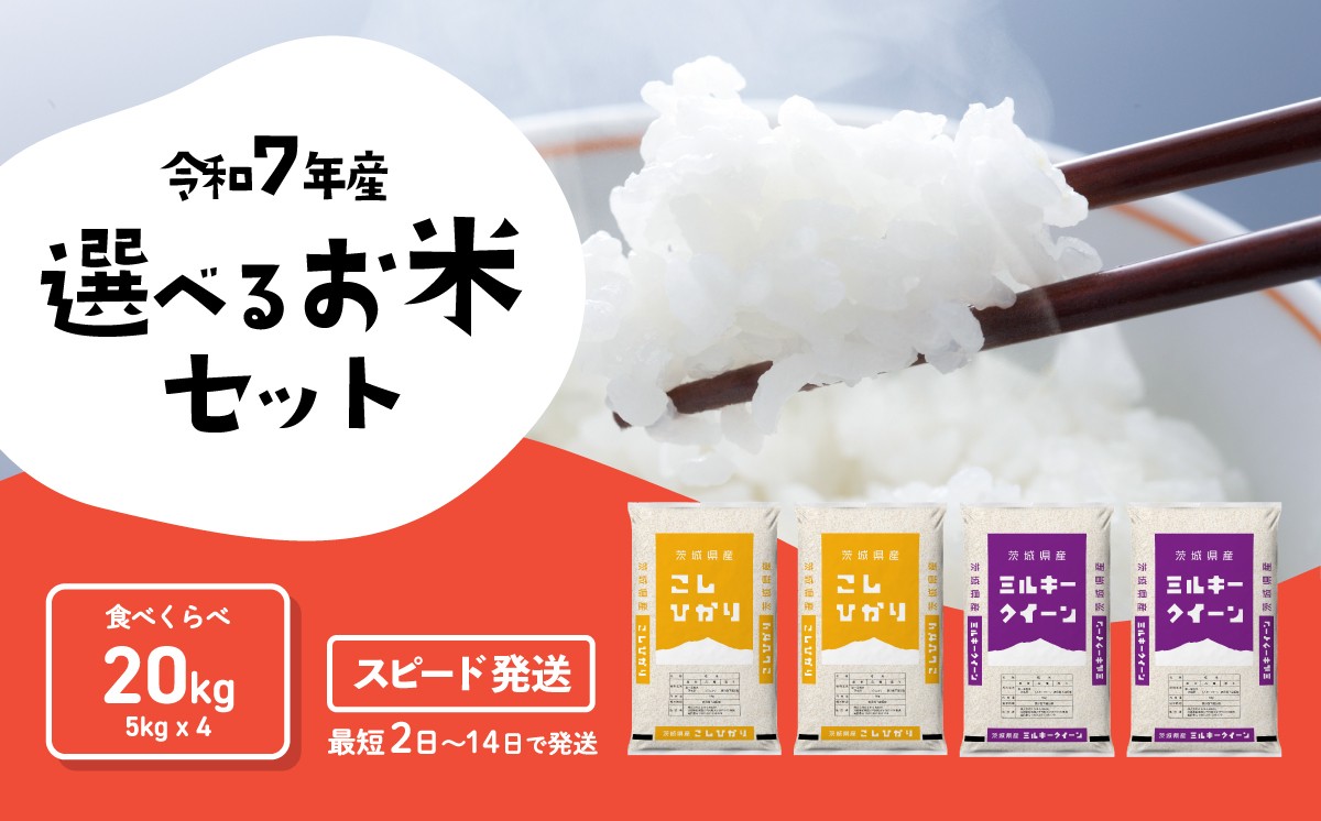 
                  【スピード発送】食べ比べ 20kg コシヒカリ ミルキークイーン  令和7年産 精米 白米 茨城県産 米 お米  [RA016yai]
                
