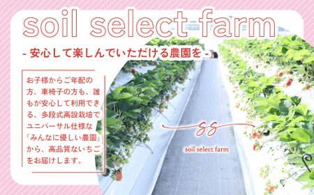 M585-3【先行予約】いちご あまおう 約280g×4パック 合計約1120g【令和8年1月より順次発送】