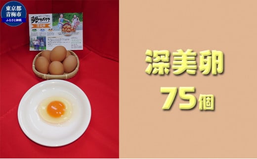 かわなべ鶏卵農場のこだわりのたまご深美たまご75個/こだわり 国産 青梅市産 鶏 鳥 卵 たまご タマゴ 玉子 朝食 卵かけご飯 ＴＫＧ ゆでたまご 赤玉 卵黄 卵白 健康 濃厚 青梅市 [№5714-0133]