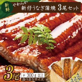 AD-105-1　やわらか新仔うなぎ食べ切りサイズ100～120g　3尾　計300ｇ以上