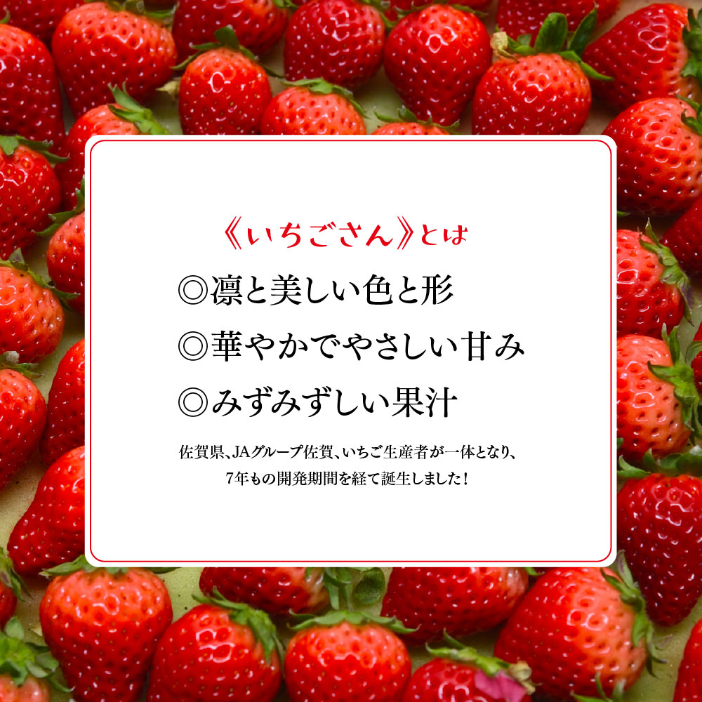 冷凍いちご 2kg(いちごさん)【佐賀県産 ブランド 冷凍いちご フレッシュ 冷凍フルーツ スムージー デザート お菓子作り シャーベット 甘い みずみずしい 無添加】(H126102)
