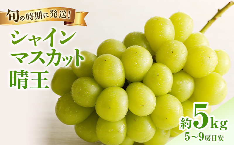 【2026年先行受付】 シャインマスカット 晴王 秀品 大房 約5kg(5～9房) 岡山県産 岡山県産 ぶどう 葡萄 ブドウ ギフト 御礼 プレゼント 御礼 御祝 御供 果物 くだもの フルーツ