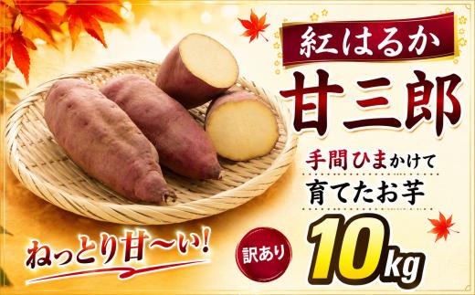 訳あり 紅はるか 10kg  甘三郎 ぽくぽく農園 さつまいも サツマイモ 熟成 生芋 さつま芋 やきいも 芋 イモ 野菜 長期熟成 デザート 旬 農家直送  徳島県