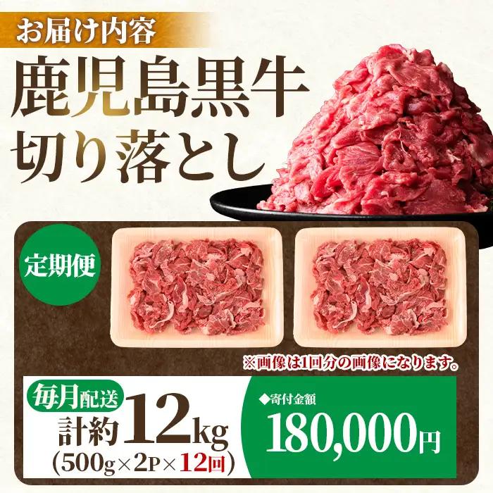 【F01001】＜定期便・全12回・連続月＞鹿児島黒牛 切り落とし(計約12kg・約500g×2P×12回) 鹿児島 国産 九州産 鹿児島県産 黒毛和牛 国産牛 牛肉 切り落し 切落とし 切落し お肉