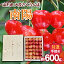 【ふるさと納税】山形産 大粒さくらんぼ 南陽 特選 手詰め 約600g 【令和7年産先行予約】FS24-635 くだもの 果物 フルーツ 山形 山形県 山形市 お取り寄せ 2025年産