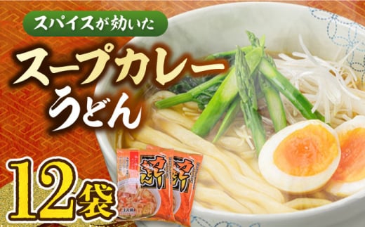 スープカレーうどん (12食入り) ≪豊前市≫【富士菊】[VAI070] うどん カレーうどん カレースープ ウドン カレー 福岡