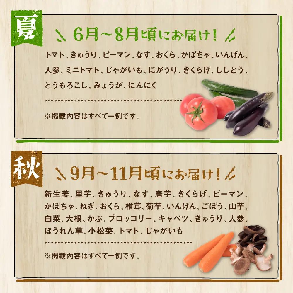 【12ヵ月定期便】八代市産！旬の農産物詰合せ 復興 福袋 7品以上 野菜 果物 やさい くだもの フルーツ セット 季節の野菜 季節の果実 おまかせ野菜 新鮮野菜