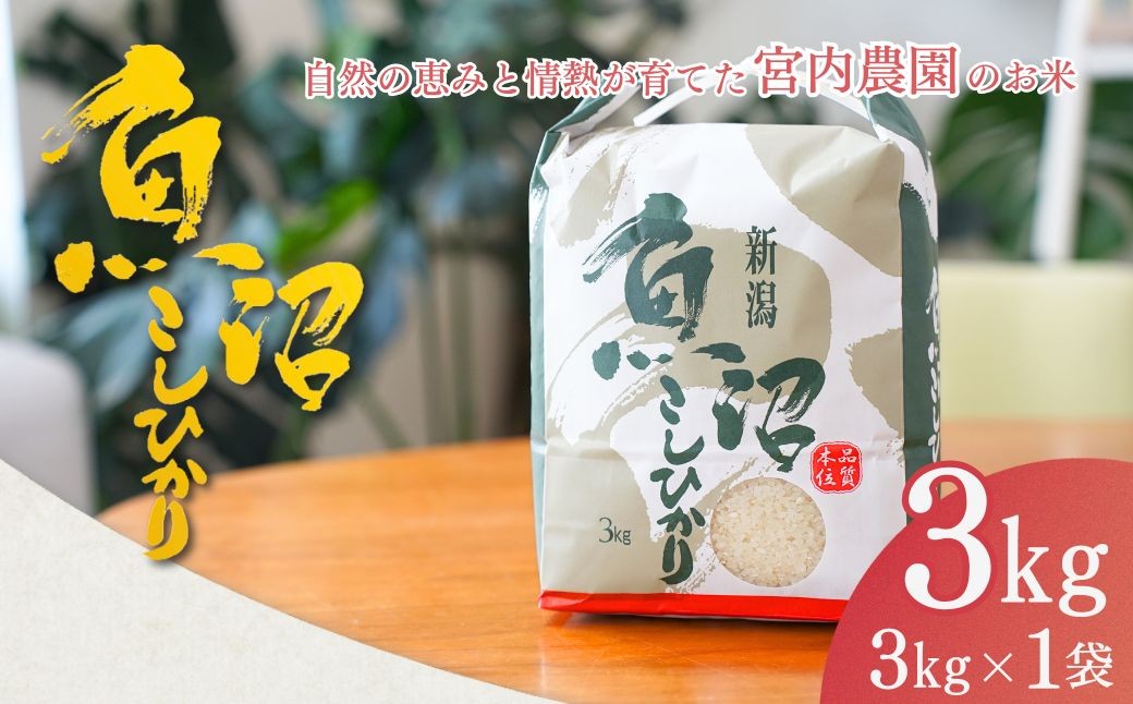 
                  【コシヒカリ 3kg】令和8年産 新米 先行予約 魚沼産コシヒカリ 精米3kg 宮内農園 | 魚沼産こしひかり 魚沼コシヒカリ 新潟県産コシヒカリ 新潟産コシヒカリ 新潟県産こしひかり こしひかり お米 米 白米 精米 ブランド米 コメ 3キロ にいがた おぢや 新潟県 小千谷市 【0002-MN01】
                