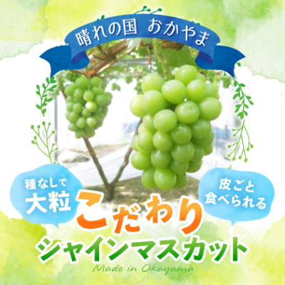 【2025年先行受付】岡山県美作市産　シャインマスカット　2kg(3～5房)【配送不可地域：離島】