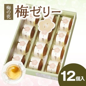 梅の花　梅ゼリー　12個入_梅ゼリー 95g × 12個 完熟 南高梅 まるごと 一粒 使用 優しい 甘さ 喉越し 爽やか とろける 食感 アレンジ シャーベット 梅酒ソーダ 梅 ゼリー おやつ デザート スイーツ フルーツゼリー 和菓子 贈答用 手土産 お取り寄せ グルメ 福岡県 久留米市 送料無料 〔Dw043〕