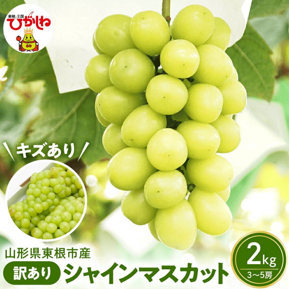 【ふるさと納税】 2025年産 先行予約 ぶどう 訳あり シャインマスカット 2kg (3～5房)/ 訳アリ 葡萄 ブドウ マスカット 令和7年 先行受付 小粒 不揃い 果物 フルーツ くだもの 冷蔵配送 お取り寄せ グルメ ご当地 産地直送 送料無料 ご家庭用 山形県 東根市