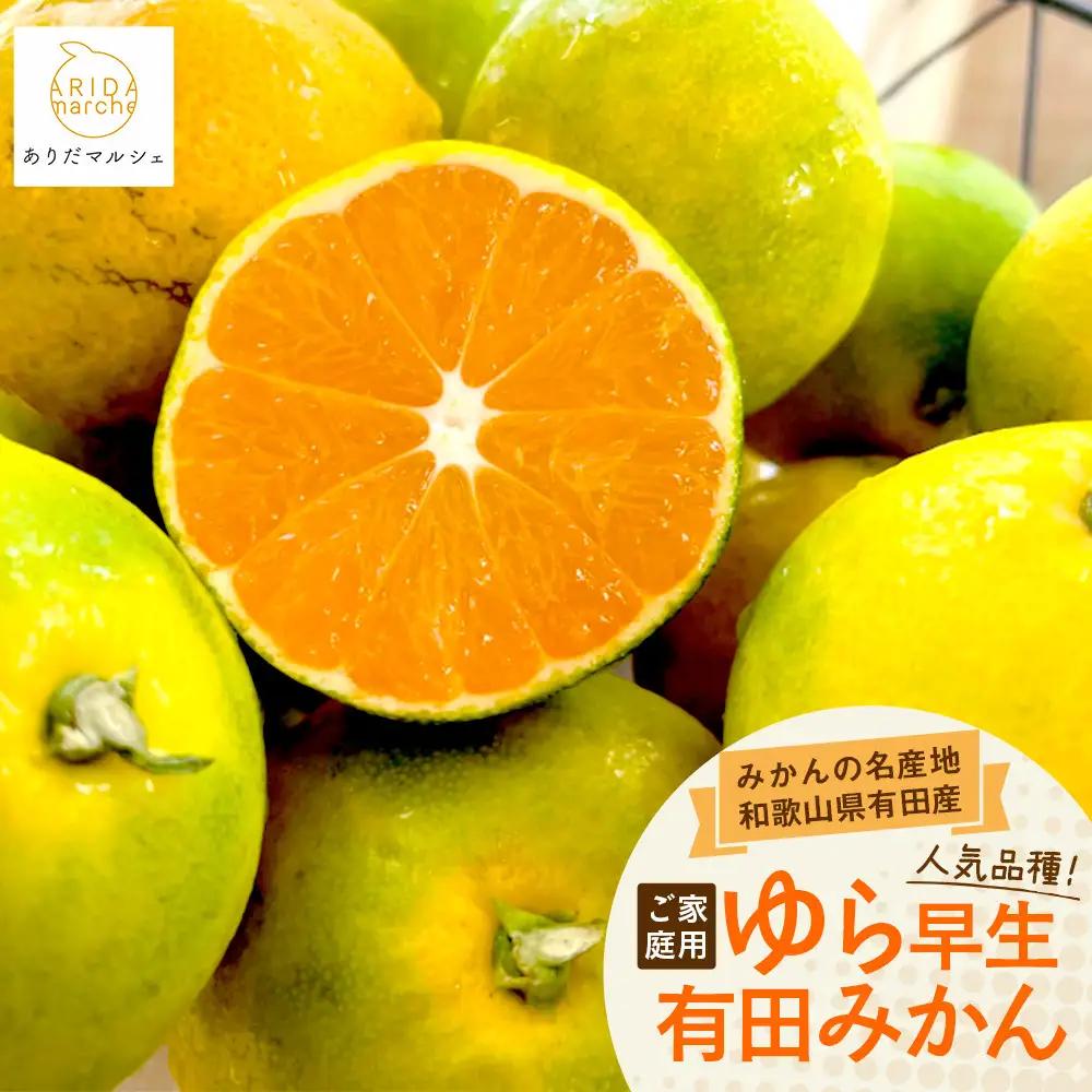 《先行予約・2026年10月～発送》ご家庭用ゆら早生 有田みかん ３kg［訳あり］［MS26］
