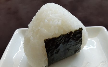 《令和7年産》山形県産 はえぬき 10kg F2Y-4586