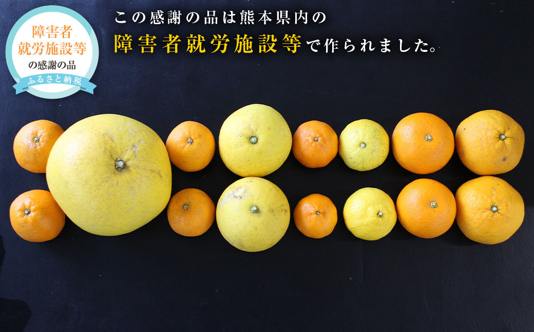 
                  わくわくするおれんじセット 5～6種類のみかんセット 約6kg 柑橘 みかん 蜜柑 【2027年1月下旬発送開始】
                