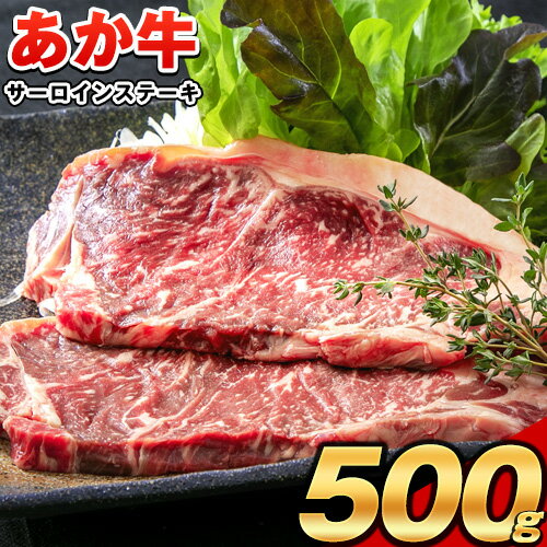 【ふるさと納税】ステーキ 赤身 牛肉 肉 サーロイン ステーキ 褐毛和牛 あか牛 赤牛 ブランド 和牛 ステーキ 贈答 ギフト 送料無料《4月中旬-5月中旬頃出荷予定》