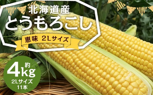北海道産 とうもろこし 恵味 2Lサイズ 11本 約4kg 1箱 国産 トウモロコシ 冷蔵 【2025年8月上旬-8月下旬迄発送予定】