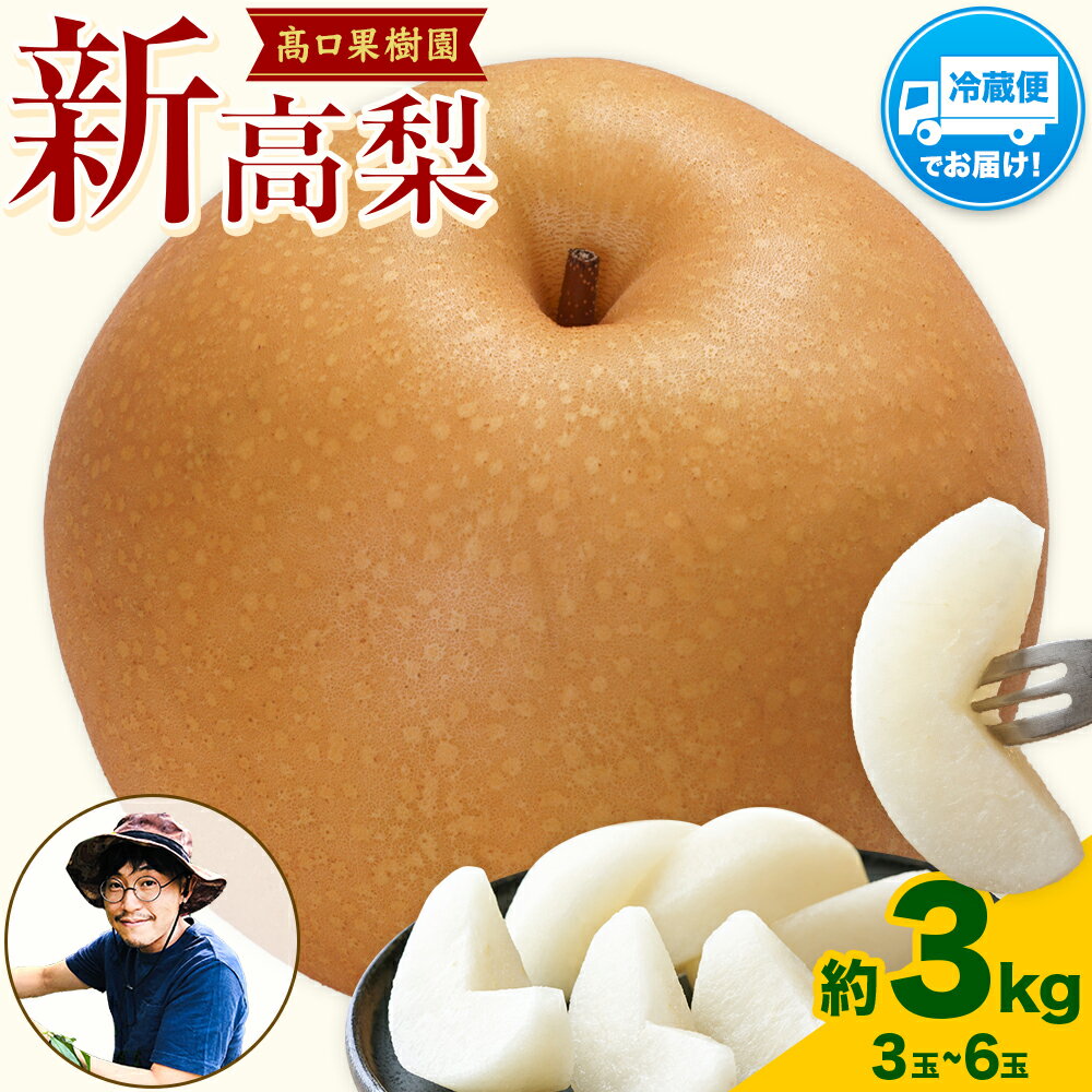 【ふるさと納税】 【2026年 先行予約 】梨 新高 ジャンボ梨 ( 新高梨 ) 約 3kg (3〜6玉前後) なし 荒尾梨 にいたか フルーツ 果物 デザート 旬 熊本県荒尾市産 高口果樹園《2026年10月上旬-11月末頃出荷》人気　おすすめ　大玉梨　みずみずしい