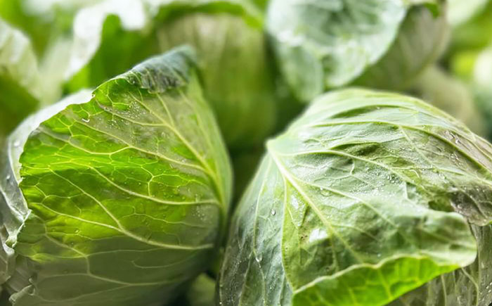 旬の野菜セット 5種類以上＜上野さん家の野菜＞那珂川市 [GGD001]