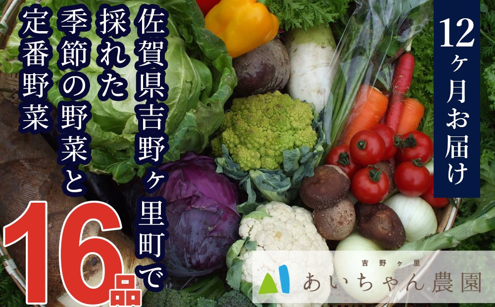 
                  【定期便セット】全12回 吉野ヶ里産 季節の野菜と定番野菜の詰合せ16品
                