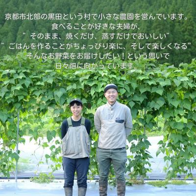 ふるさと納税 京都市 【よしだのはたけ】旬の野菜10品 やさいBOX|京都 京北 農家直送 野菜 人気セット |  | 03