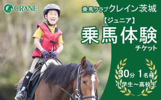 乗馬クラブクレイン茨城 ジュニア 乗馬体験 チケット │ 乗馬 乗馬クラブ 体験チケット 子ども 子供 キッズ 小学生 ファミリー 夏休み 茨城県 つくば市