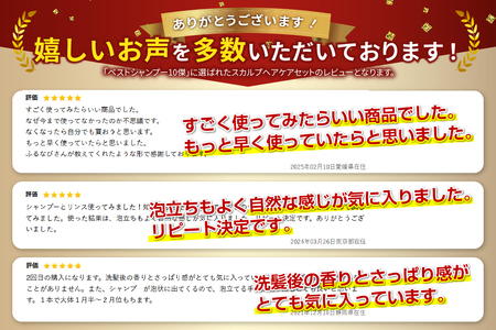 シャンプー 「ベストシャンプー10傑」に選ばれたスカルプヘアケアセット サロン トリートメント